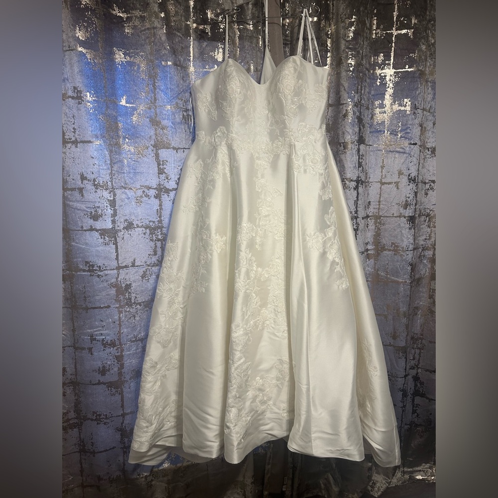New Plus-Size Wedding Dress - Picture 3 of 9